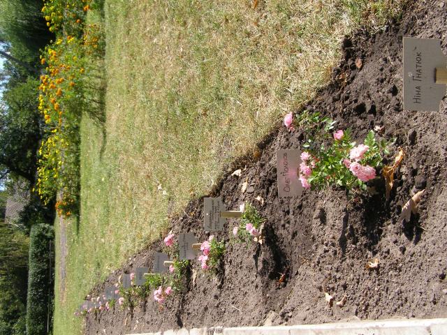 Літературне паломництво у Піски ( алея.JPG)